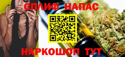 сатива Краснознаменск