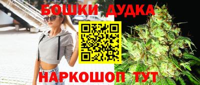 сатива Краснознаменск
