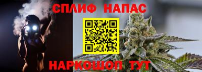 сатива Краснознаменск