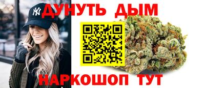 сатива Краснознаменск