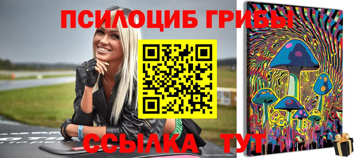 Кинель  Псилоцибиновые грибы Psilocybe  Вход с VPN 