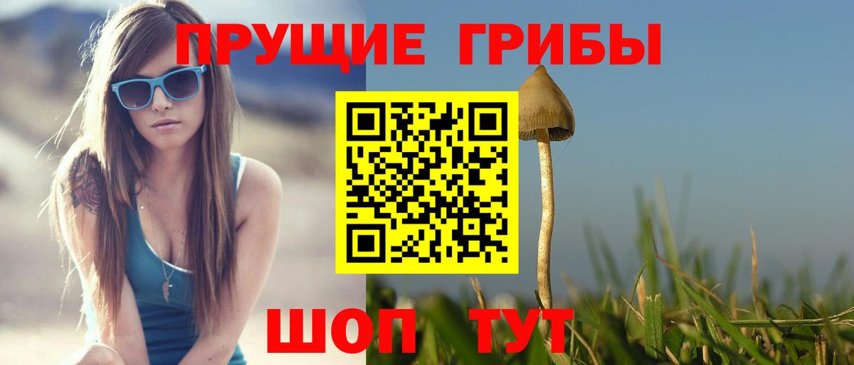 Галлюциногенные грибы Magic Shrooms Кинель